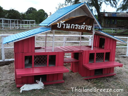 Popular activities for the whole family at Ao Manao beach in Prachauap, Thailand.