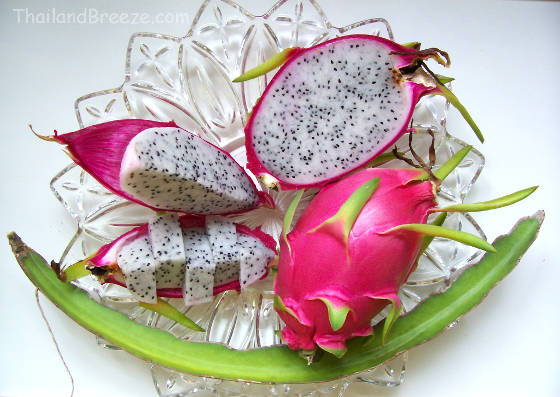 Cut and uncut white dragon fruits with a cactus stem.