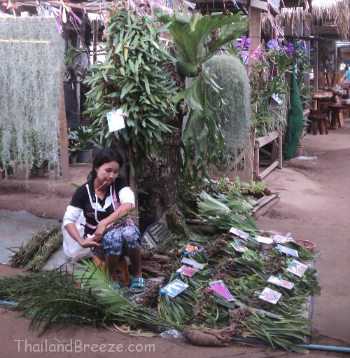 The border market at Dan Singkhon in Prachuap, Thailand.