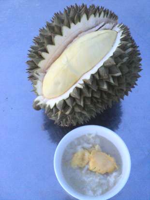 Sticky rice with durian is a delicious Thai dessert