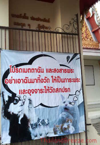 This poster asks people not to abandon dogs at Buddhist temples in Thailand.