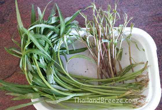 Thais eat two types of water spinach.